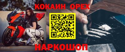 хмурый Кингисепп