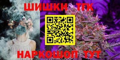 хмурый Кингисепп