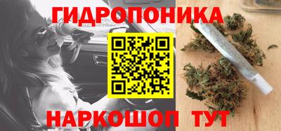 хмурый Кингисепп