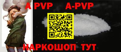 хмурый Кингисепп